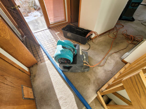 Best Emergency water damage restoration  in Earlham, IA