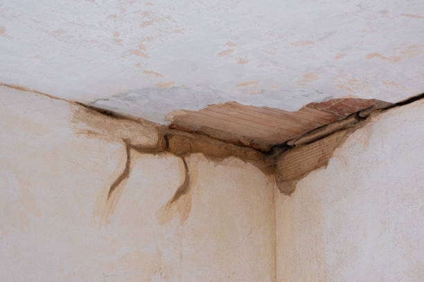 Best Basement water damage restoration  in Earlham, IA