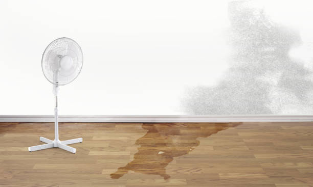 Best Fire Damage Restoration  in Earlham, IA