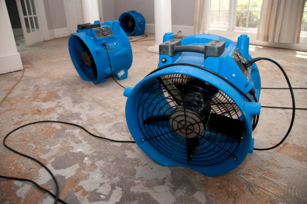 Best Fire Damage Restoration  in Earlham, IA
