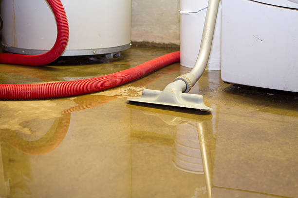 Best Water damage restoration near me  in Earlham, IA