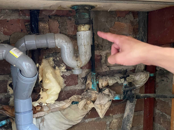Best Local water damage restoration  in Earlham, IA