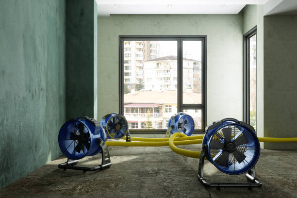 Best Flood restoration services  in Earlham, IA