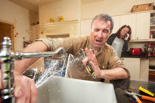 Best Water damage restoration mold remediation  in Earlham, IA